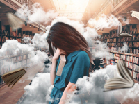 Teoria da literatura