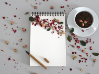 Técnicas de redação e arquivo