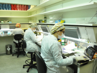 Macroscópica e conservação de peças anatômicas