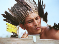 Cultura indígena brasileira