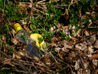 Desenvolvimento sustentável e responsabilidade social