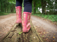 Desenvolvimento e aprendizagem motora