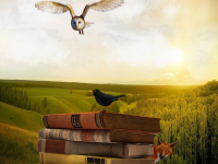 Legislação Ambiental