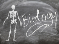 Ensino da biologia