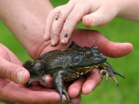 Educação Ambiental e Cidadania