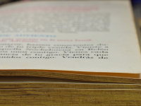 Concepções Estruturas e Fundamentos do Texto Literário