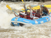 Metodologia dos Esportes Coletivos