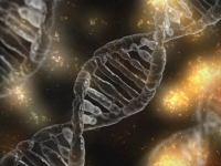 Historia da Biologia