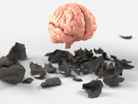 Neurociências Aplicada a Educação