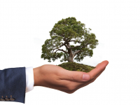 Planejamento e Avaliação de Projetos em Educação Ambiental