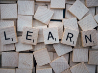 Letramento Escolarização