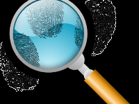 Perícia extrajudicial