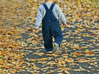 Neuro plasticidade, coordenação motora, memória e aprendizagem