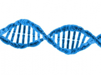 Recursos Didáticos para o Ensino de Ciências e Biologia