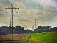 Produção e Sistemas Agroindustriais