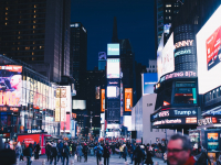 Meio social coletivo I