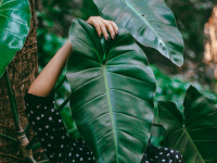 A busca por um mundo sustentável