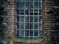 Sistema prisional: tópicos especiais