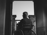 Fisiopatologia e disfunções