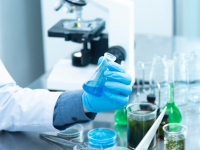 Toxicologia e substâncias químicas