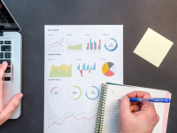 Sociedade: perícias II