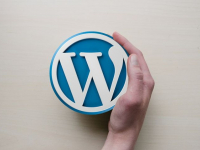 Curso de Wordpress Completo