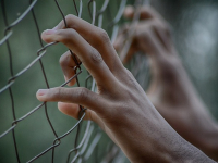 Auxílio Reclusão, Pensão por Morte, Salário–Família e Salário–Maternidade