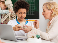 Diretrizes Curriculares de Ciências