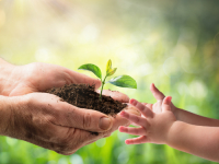 Constitucionalismo e Proteção Ambiental