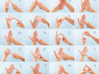 Curso Basico de Libras