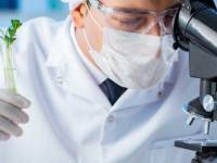 Ecologia e Biotecnologia