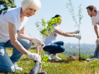 Meio Ambiente e Cidadania