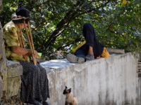 Estado, Politicas Publicas e Serviço Social