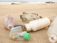 NR 9 Programa de Prevenção de Riscos Ambientais