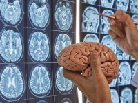 Neurociências da Linguagem