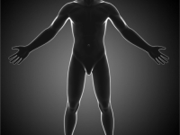 Fundamentos Biomecânica e Cinesiologia