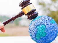 Politica Nacional do Meio Ambiente e o Direito Ambiental