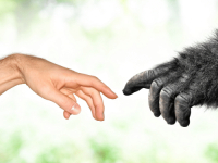 História de Ciências e Ensino