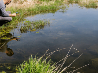 Indicadores de Qualidade Ambiental