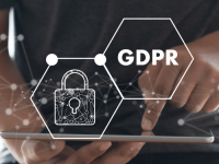 Proteção de Dados: Relações Jurídicas Privadas na Era Digital