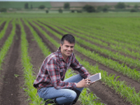Gestão Financeira do Agronegócio
