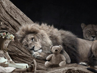 Psicanalise dos Contos de Fadas na Educação