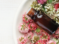 Florais de Saint German