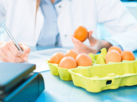 Gestão de Qualidade em Unidades de Alimentação e Nutrição