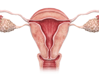 Atualização em HPV e o Câncer de Colo do Útero