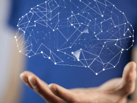 Introdução a Neurociência e Neuro Educação