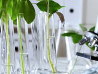 Introdução ao Sistemática Biológica