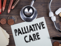 Cuidados Paliativos na Vida Adulta