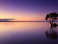 Manejo e Conservação dos Recursos Naturais