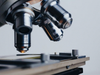 Microbiologia e parasitologia